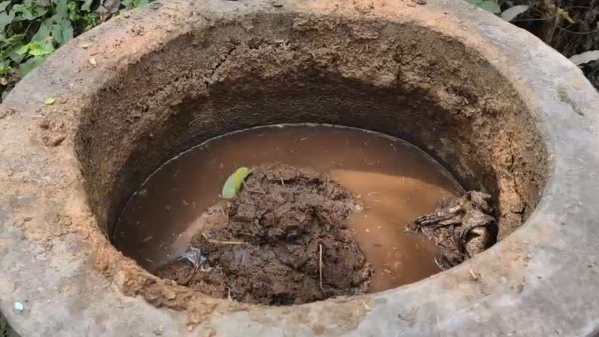 ఇంధన సంక్షోభానికి ఇంట్లోనే పరిష్కారం- ఆవుపేడతో వంటగ్యాస్- రోల్ మోడల్‌గా ఆ రెండు కుటుంబాలు!